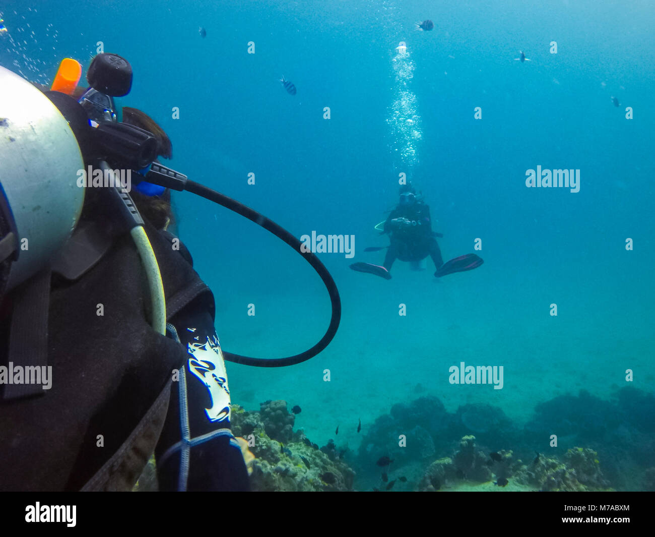 Taucher unter Wasser tauchen, Ko Lanta Island thailand Stockfoto