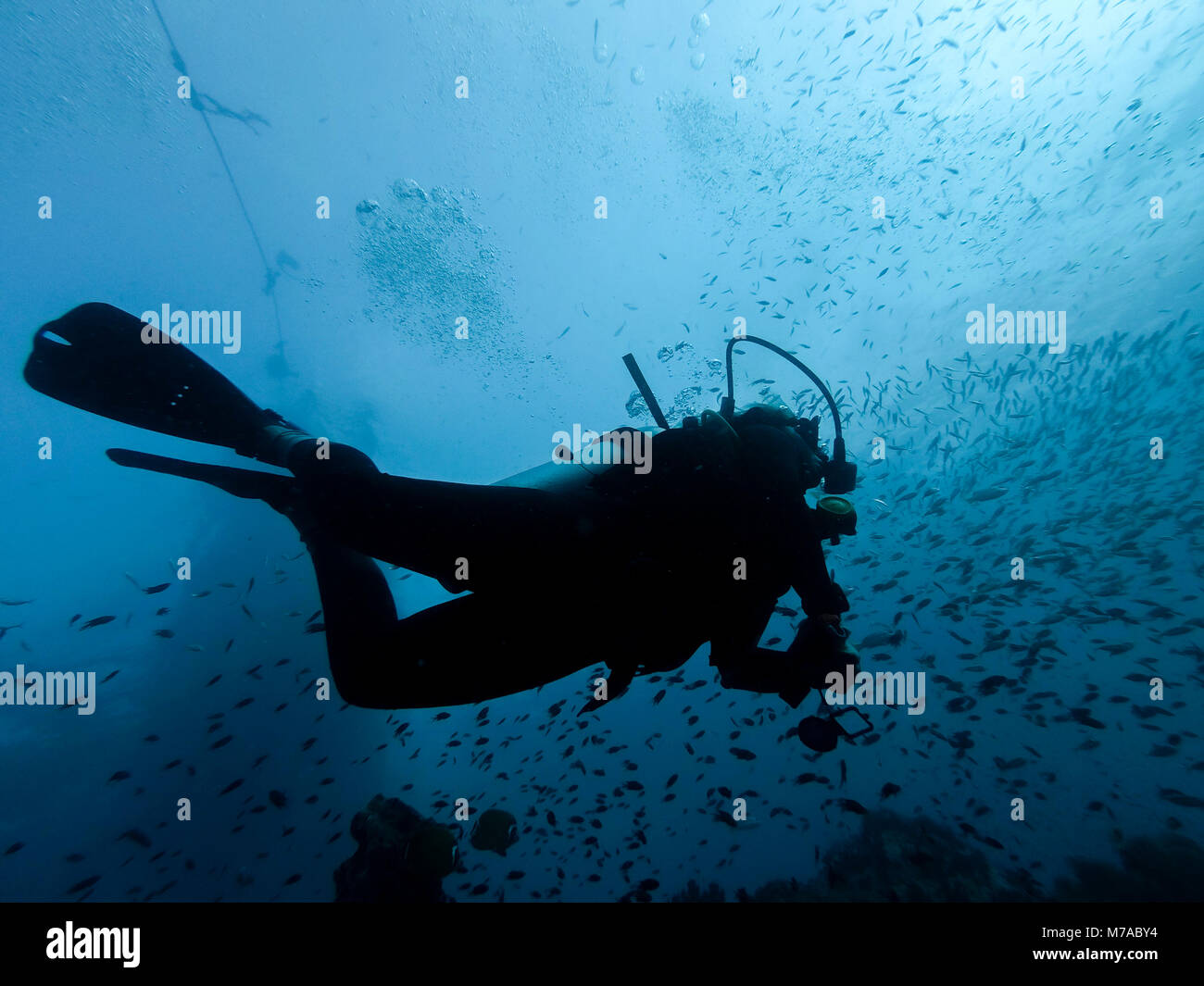 Diver Silhouette im Riff, Ko Lanta Island thailand Stockfoto