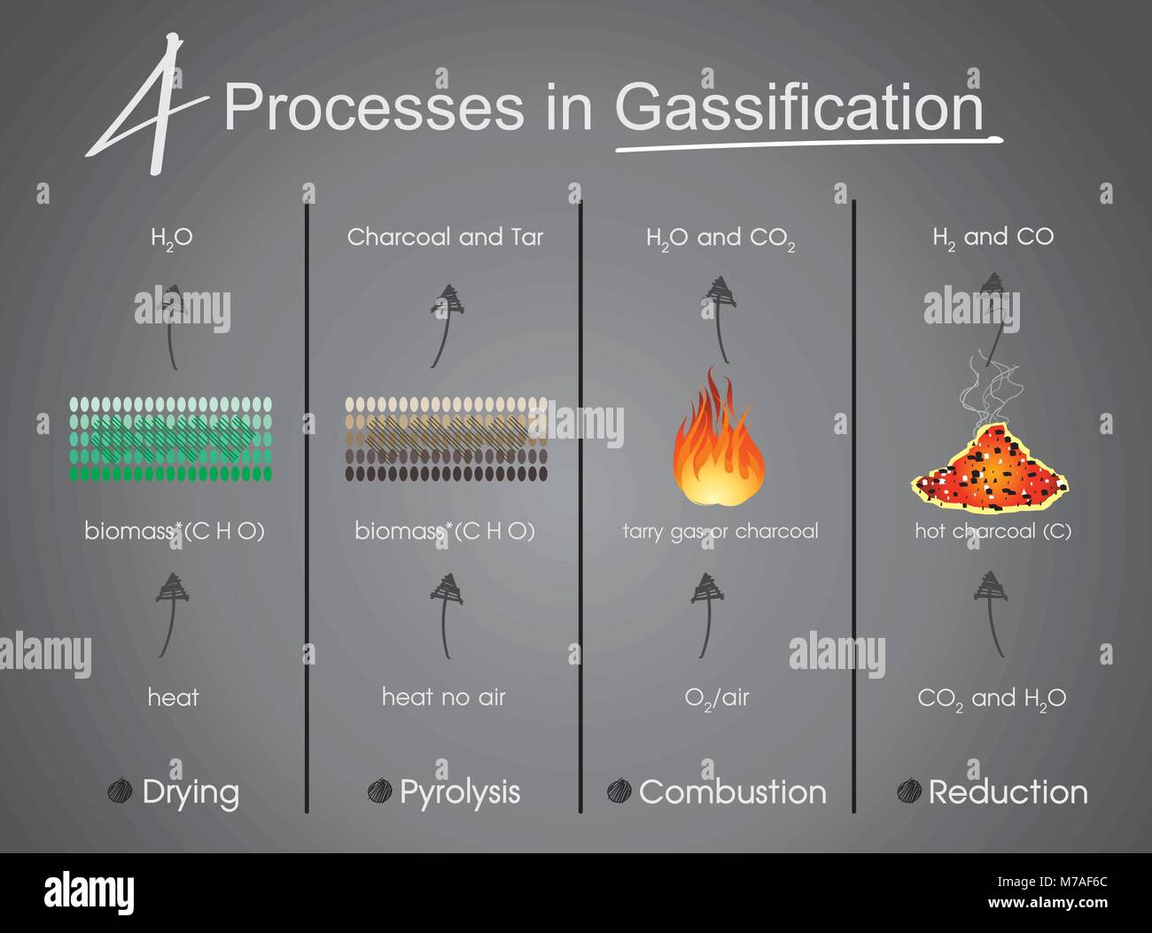 4 Prozesse Trocknung, Pyrolyse, Vergasung, Verbrennung, Reduktion. Info Grafik Vektor. Stock Vektor