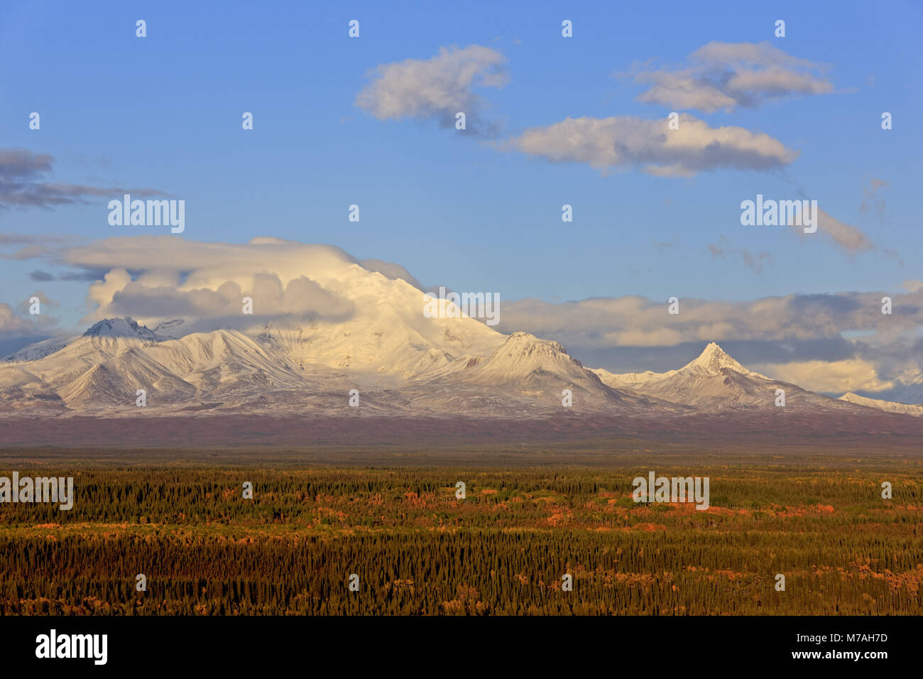 Nordamerika, USA, Alaska, der Central South, Wrangell Mountains, Wrangell St. Elias National Park, Mount Drum (3661 m), Stockfoto