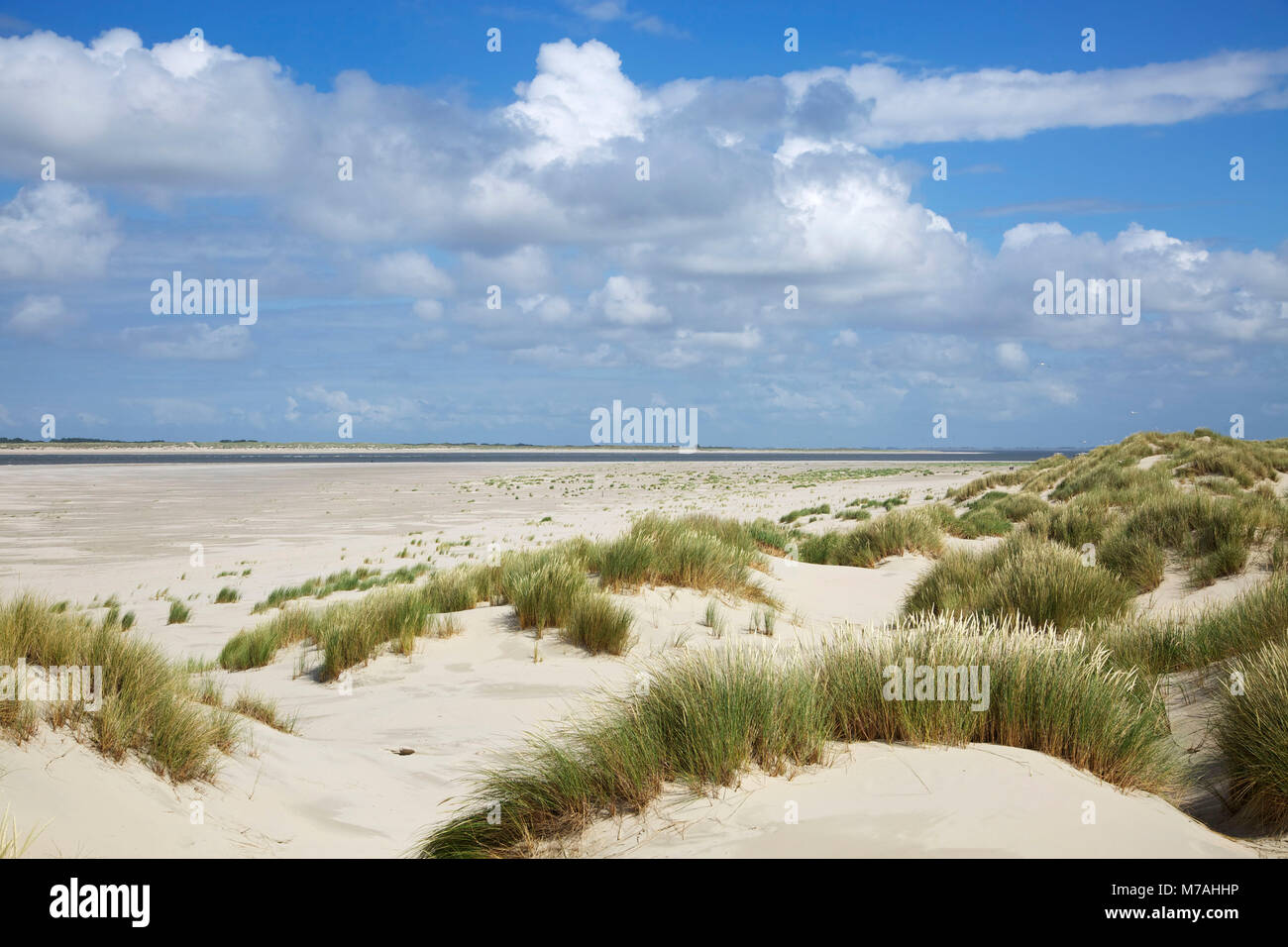 Blick über Strand und Dünen im Osten der Insel Baltrum zur benachbarten Insel Langeoog. Stockfoto