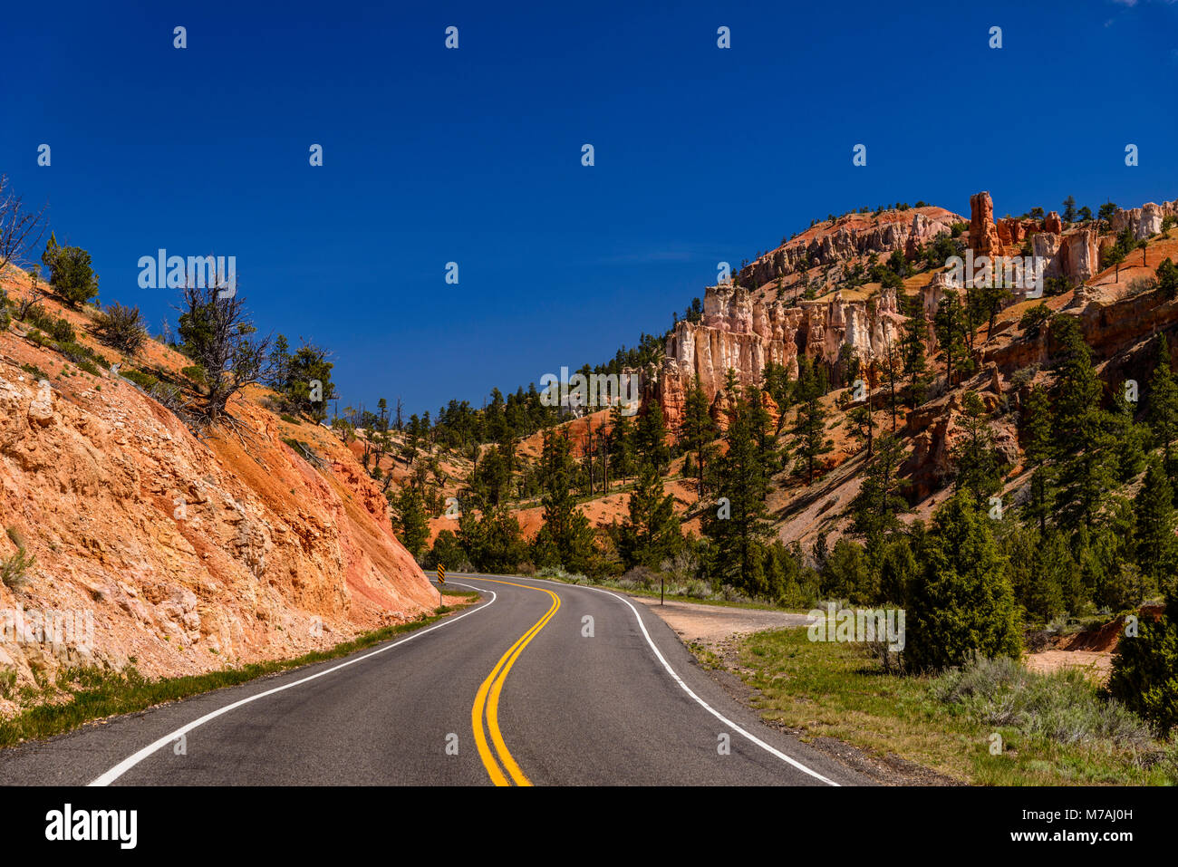 Die USA, Utah, Garfield County, Bryce Canyon Nationalpark, Scenic Byway 12 schließen Sie den moosigen Höhle Trail Stockfoto