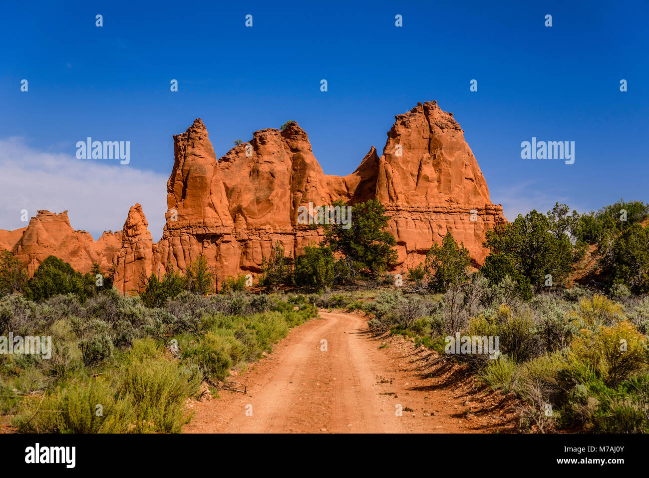 Die USA, Utah, Kane County, Kodachrome Basin State Park, Schotterstrasse Stockfoto