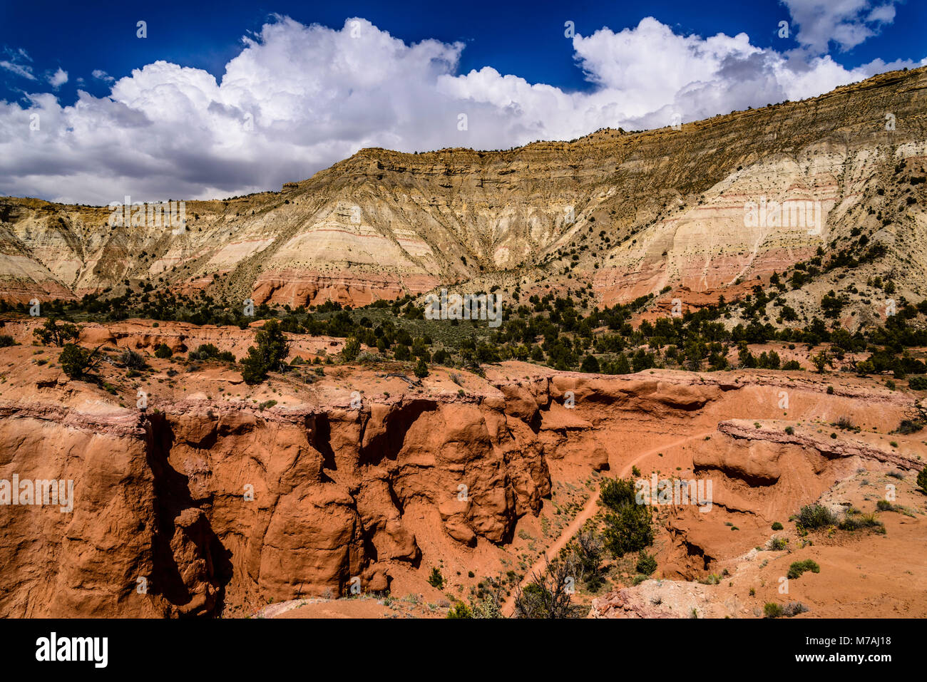Die USA, Utah, Kane County, Kodachrome Basin State Park, Blick von der Angel Palace Trail Stockfoto