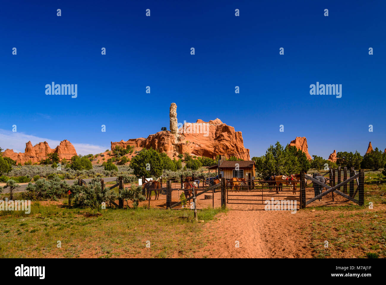 Die USA, Utah, Kane County, Kodachrome Basin State Park, Bang, Reiten Stockfoto