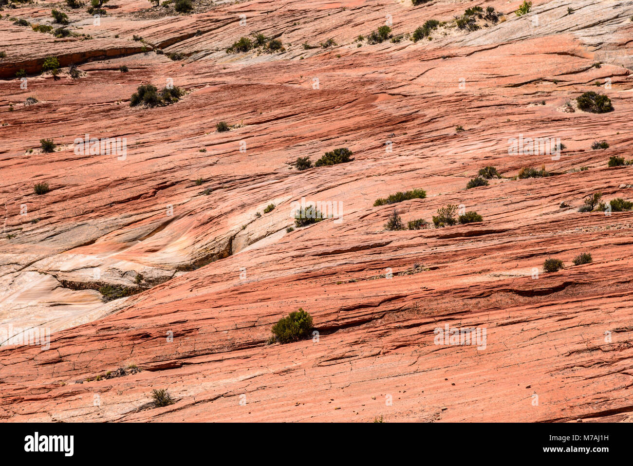 Die USA, Utah, Garfield County, Grand Staircase-Escalante National Monument, Escalante, Landschaften in den Scenic Byway 12. Stockfoto