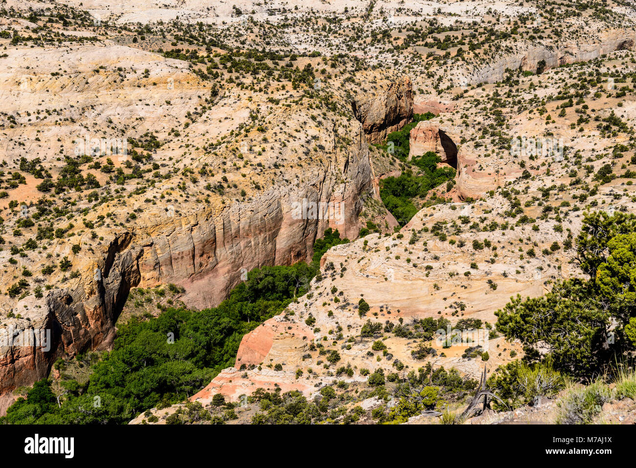 Die USA, Utah, Garfield County, Grand Staircase-Escalante National Monument, Escalante, Calf Creek Canyon, Blick von den Scenic Byway 12. Stockfoto