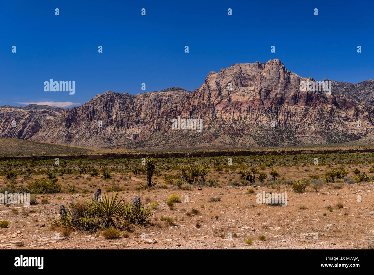 Die USA, Nevada, Clark County, Las Vegas, Red Rock Canyon, Spring Mountains, Sicht vom Besucherzentrum Stockfoto