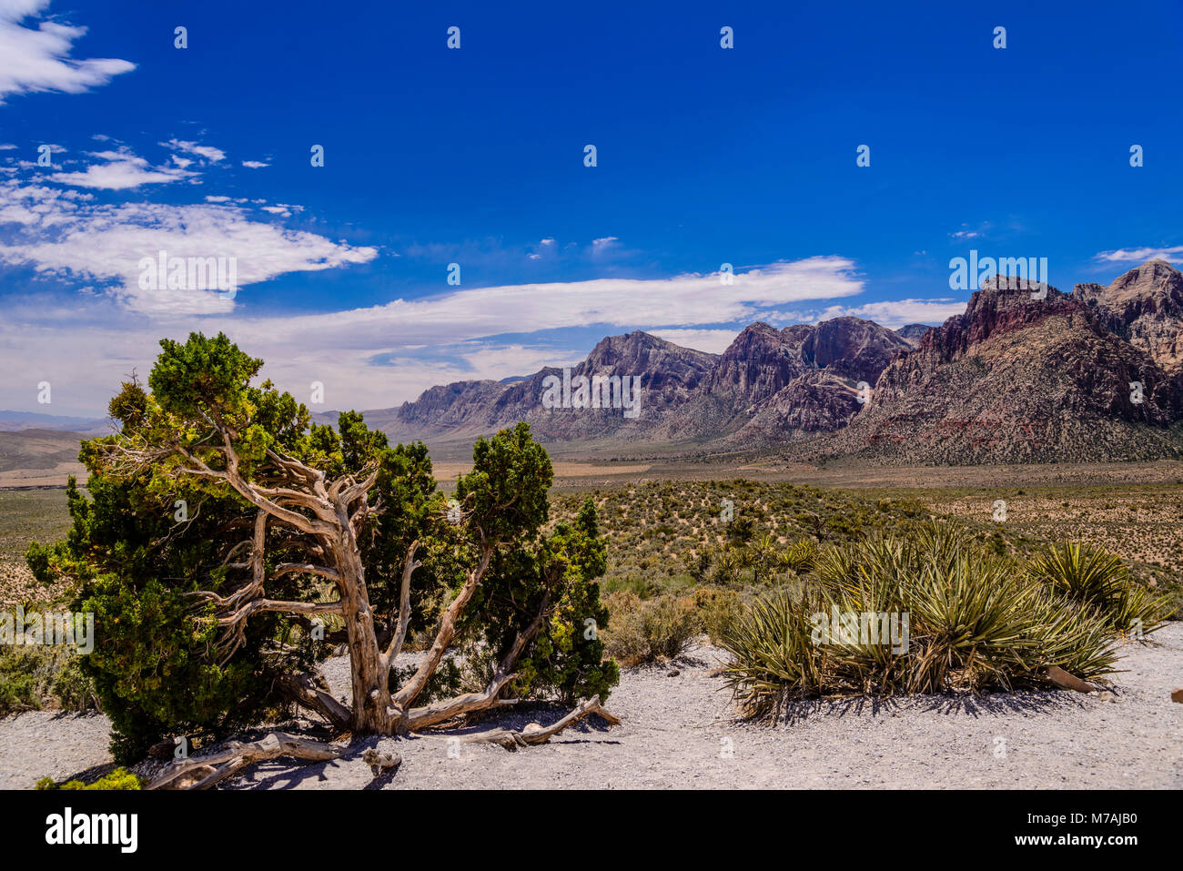 Die USA, Nevada, Clark County, Las Vegas, Red Rock Canyon, Spring Mountains, Blick von der hohen Punkt übersehen Stockfoto
