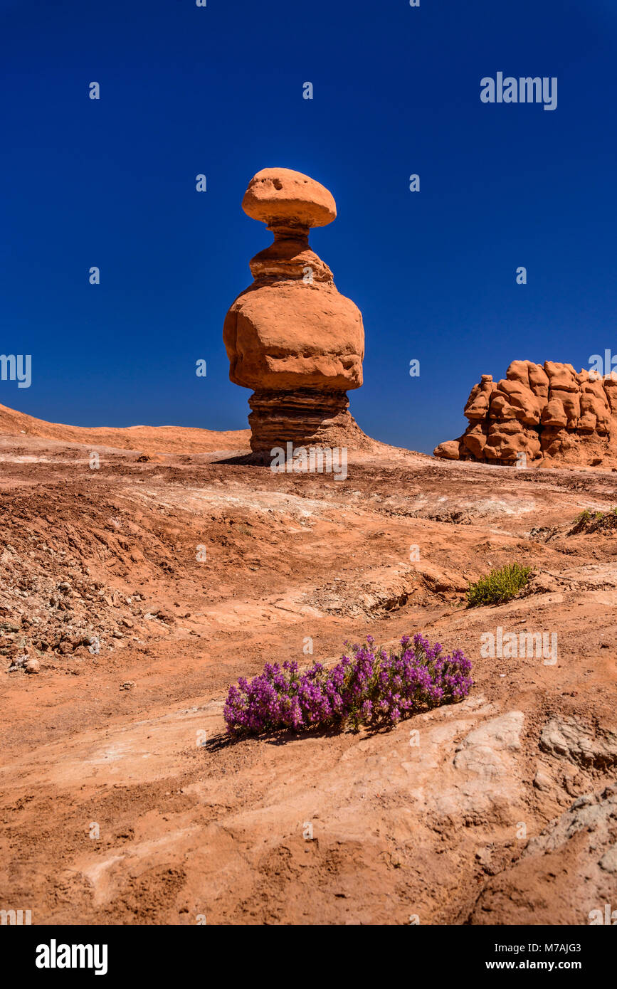 Die USA, Utah, Emery County, Green River, Goblin Valley State Park, Goblins Stockfoto