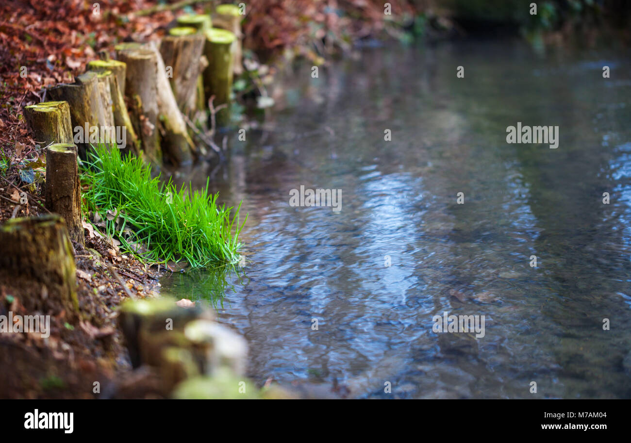 Bank bach Fotos und Bildmaterial in hoher Auflösung Alamy