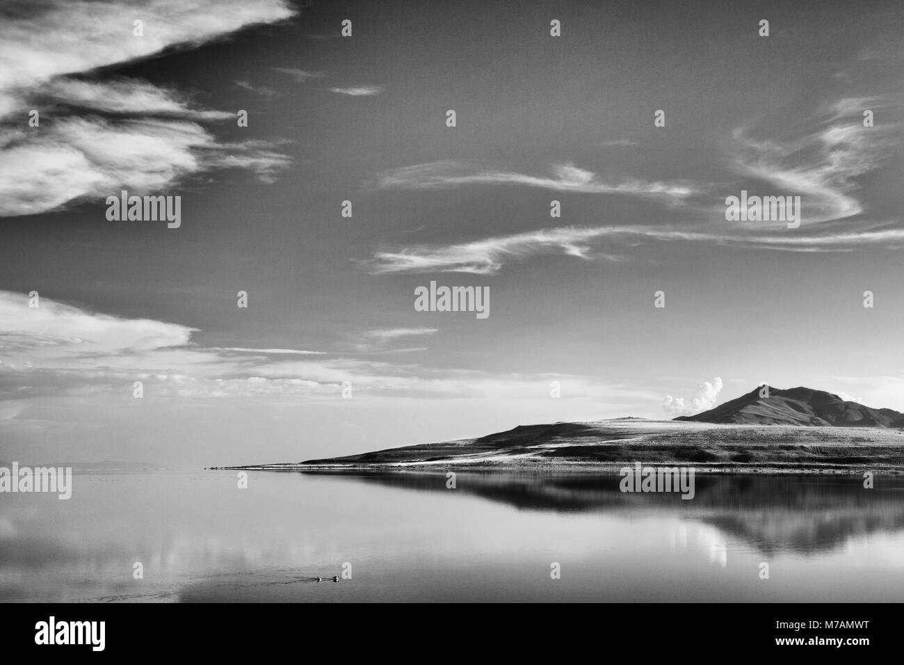 Land Zunge, Spiegelung, Antelope Island, Great Salt Lake, Utah, USA Stockfoto