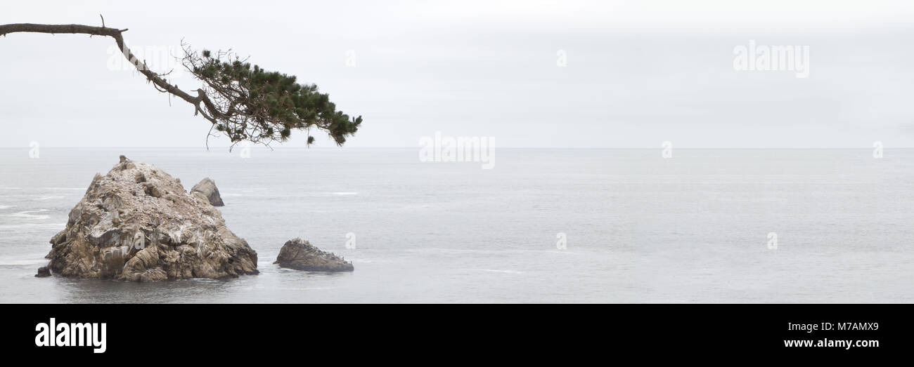 Kalifornien, Pazifikküste, Carmel, Point Lobos State Park, Kiefer, rock Stockfoto