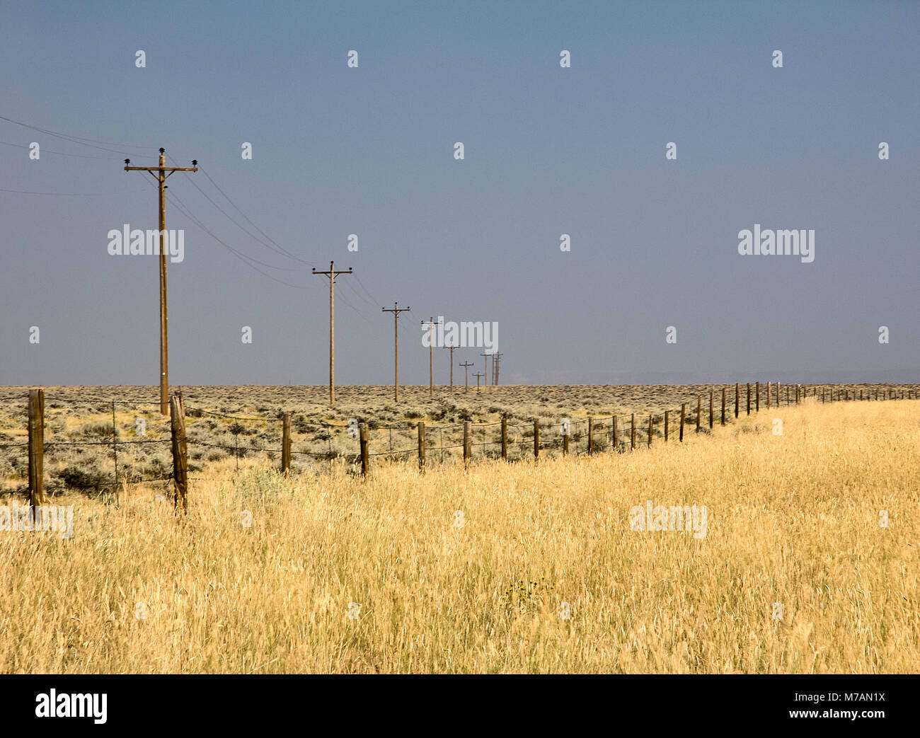 Die USA, Wyoming, Strommasten, Feld Struktur, Zaun Stockfoto