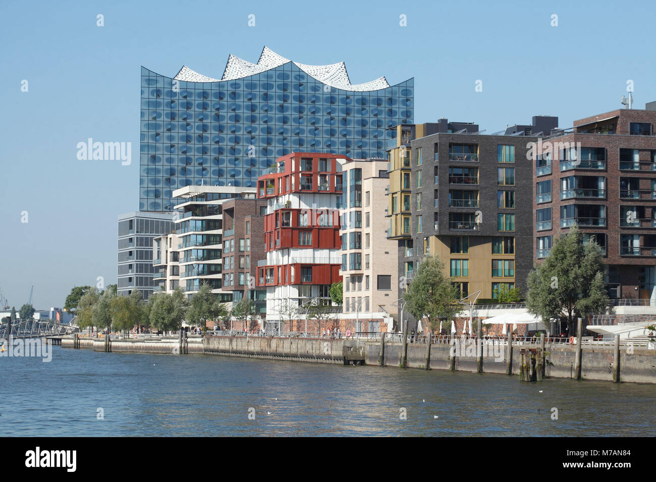 Hamburg, Elbphilharmonie mit Häusern im Grasbrookhafen Stockfoto