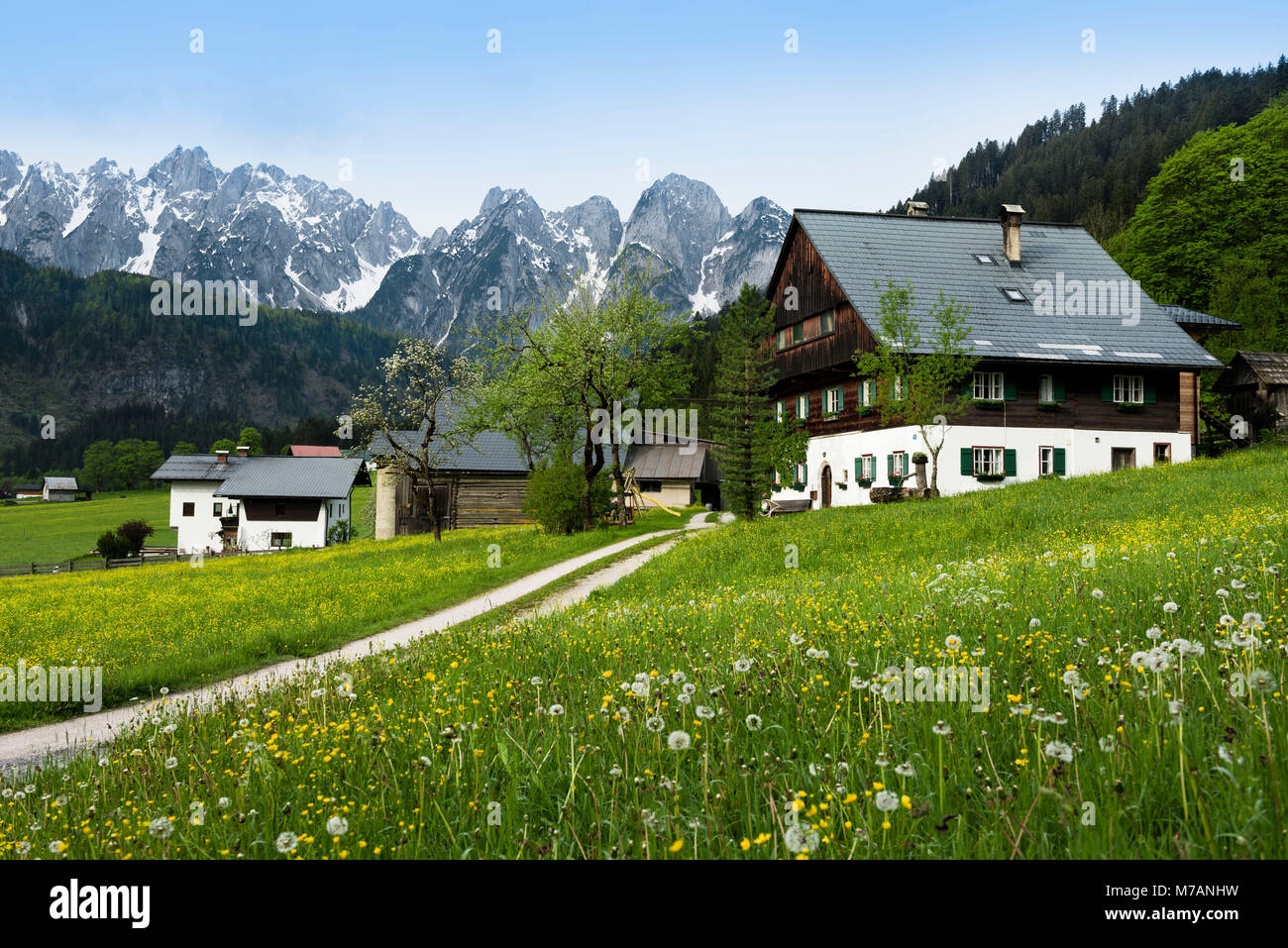 Idyllischer Bauernhof in den Alpen, Salzburg Land, Österreich Stockfoto