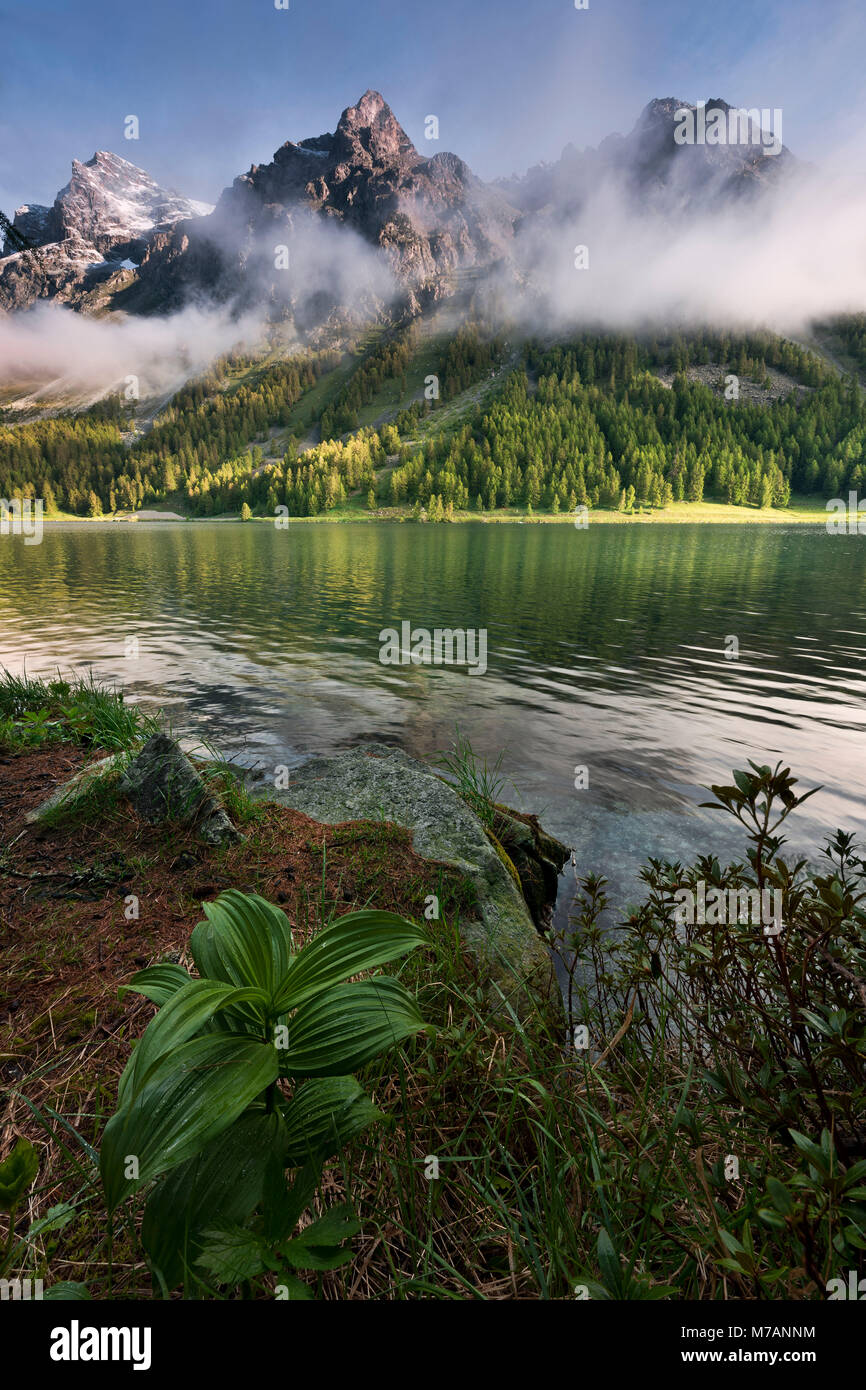 Den Silsersee in der Nähe von St. Moritz, Graubünden, Schweiz Stockfoto