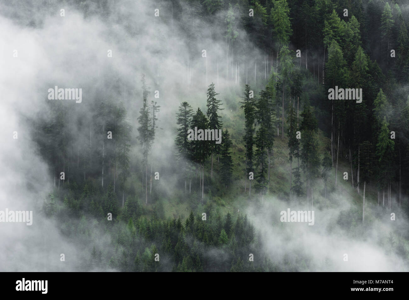 Misty Stimmung in den Dolomiten mit Teleobjektiv, Italien Stockfoto