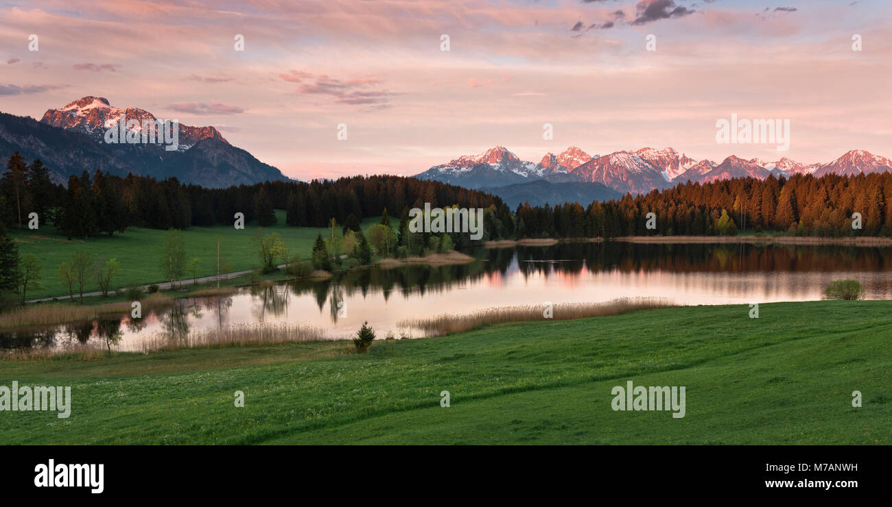 Siehe (Hegratsrieder See), Allgäuer, Ammergauer Alpen, Bayern, Deutschland Stockfoto