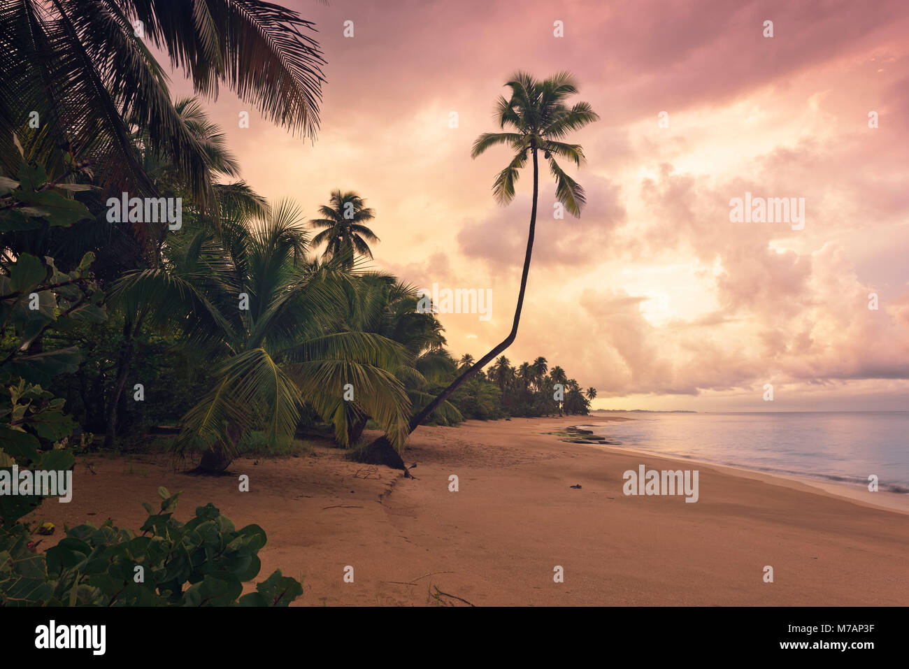 Karibischer Traum Strand in den Sonnenuntergang, Punta Vacia, Puerto Rico Stockfoto