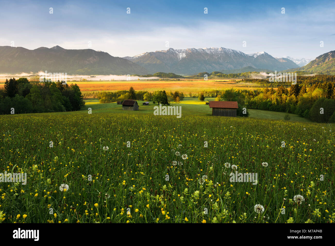 Idyllische Murnau Moor (Murnauer Moos), Bayern, Deutschland Stockfoto