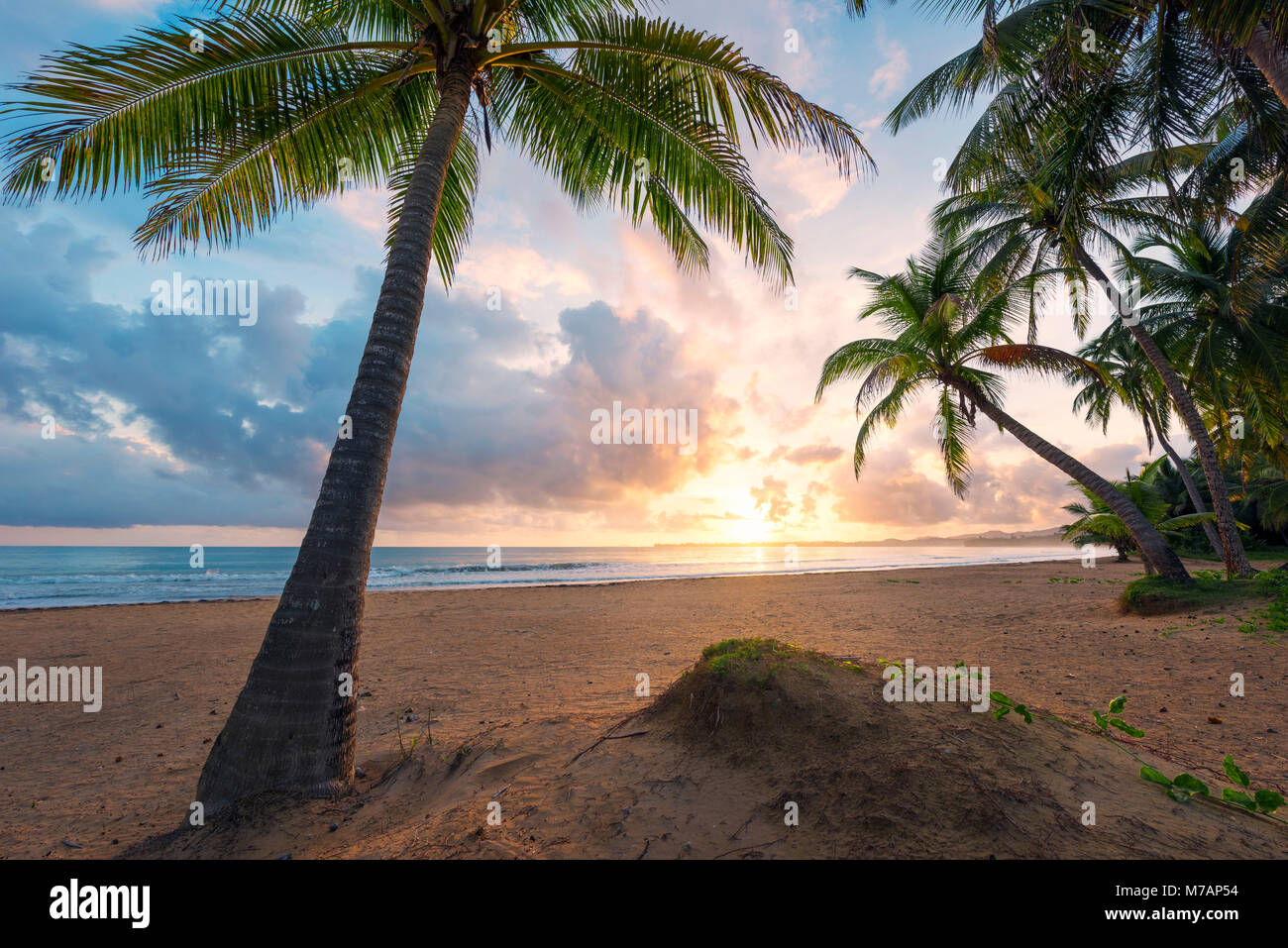 Malerische Sonnenaufgang an einem karibischen Strand der Insel Puerto Rico, Stockfoto