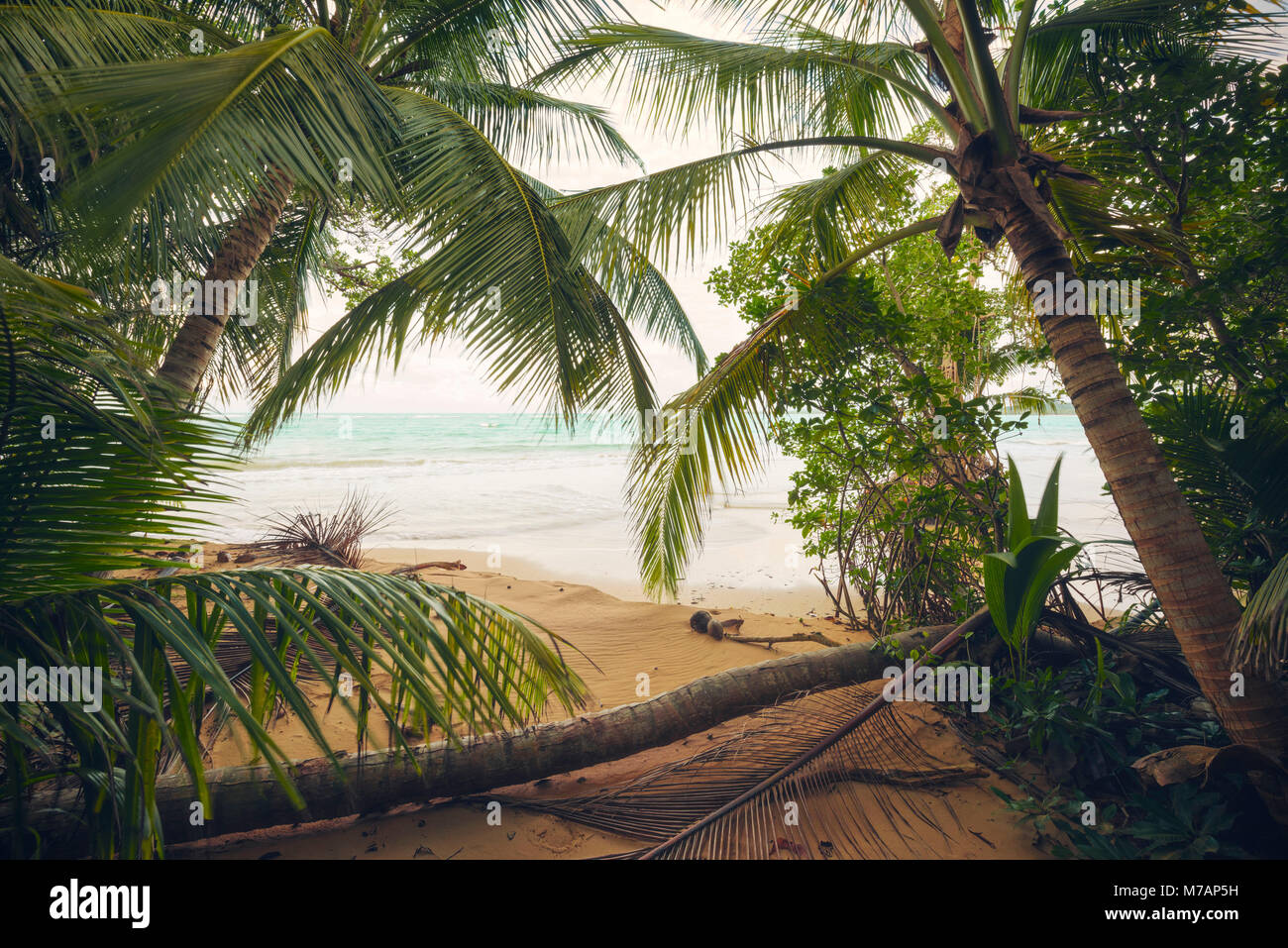 Blick von der Palm Beach zum Meer, pirate Cave auf der karibischen Insel Puerto Rico Stockfoto