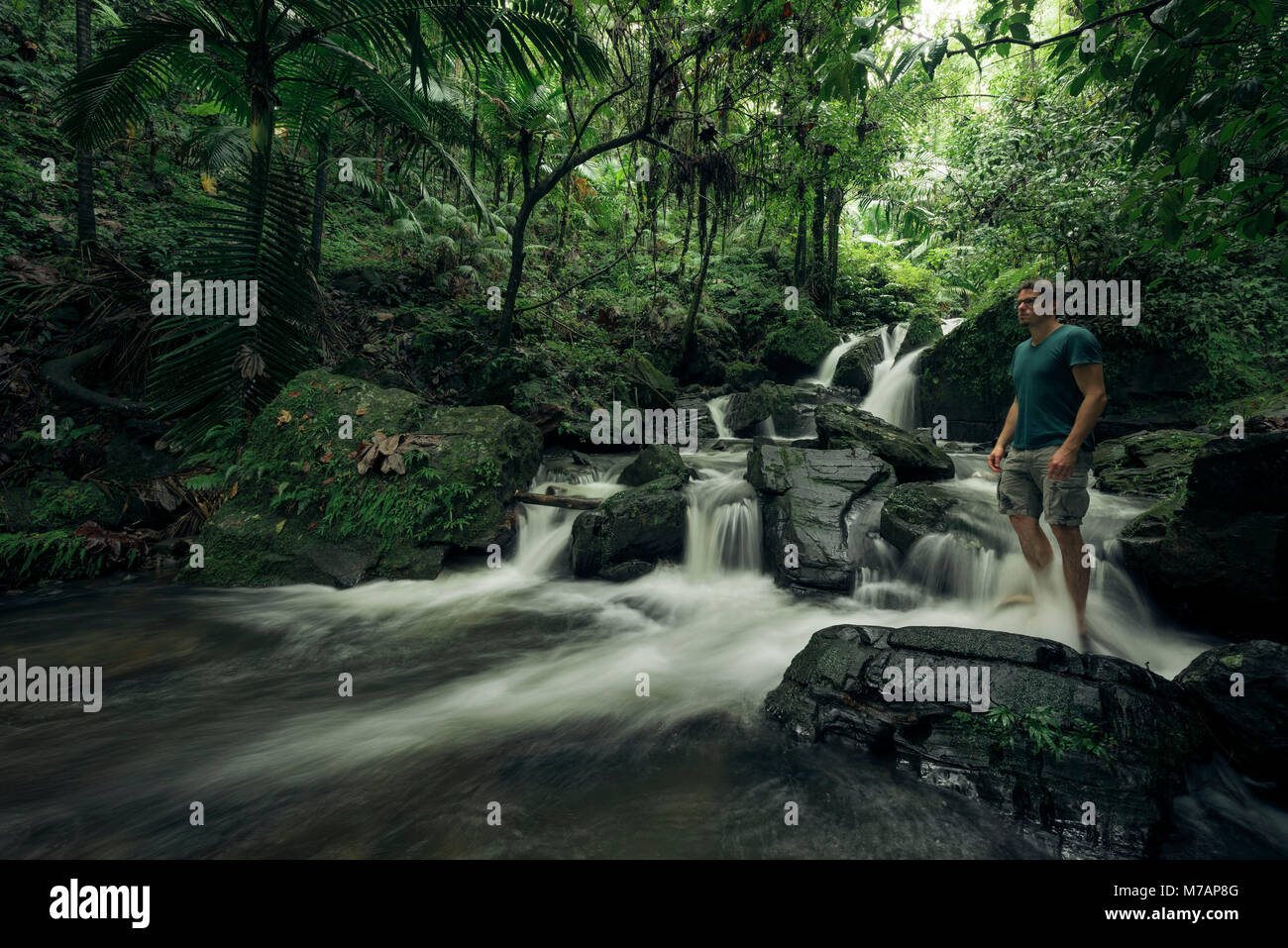 Karibik Insel Puerto Rico, Szene in den Regenwald El Yunque Nationalpark, Wasserlauf, Person im Wasser steht. Stockfoto Karibik Insel Puerto Rico, Szene in den Regenwald El Yunque Nationalpark, Wasserlauf, Person im Wasser steht. Stockfoto