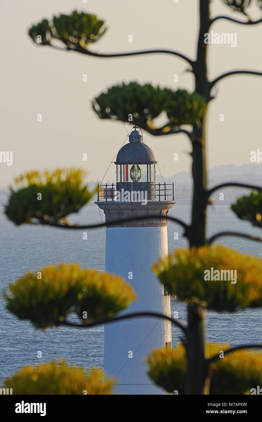 Ibiza, Spanien, Leuchtturm Stockfoto