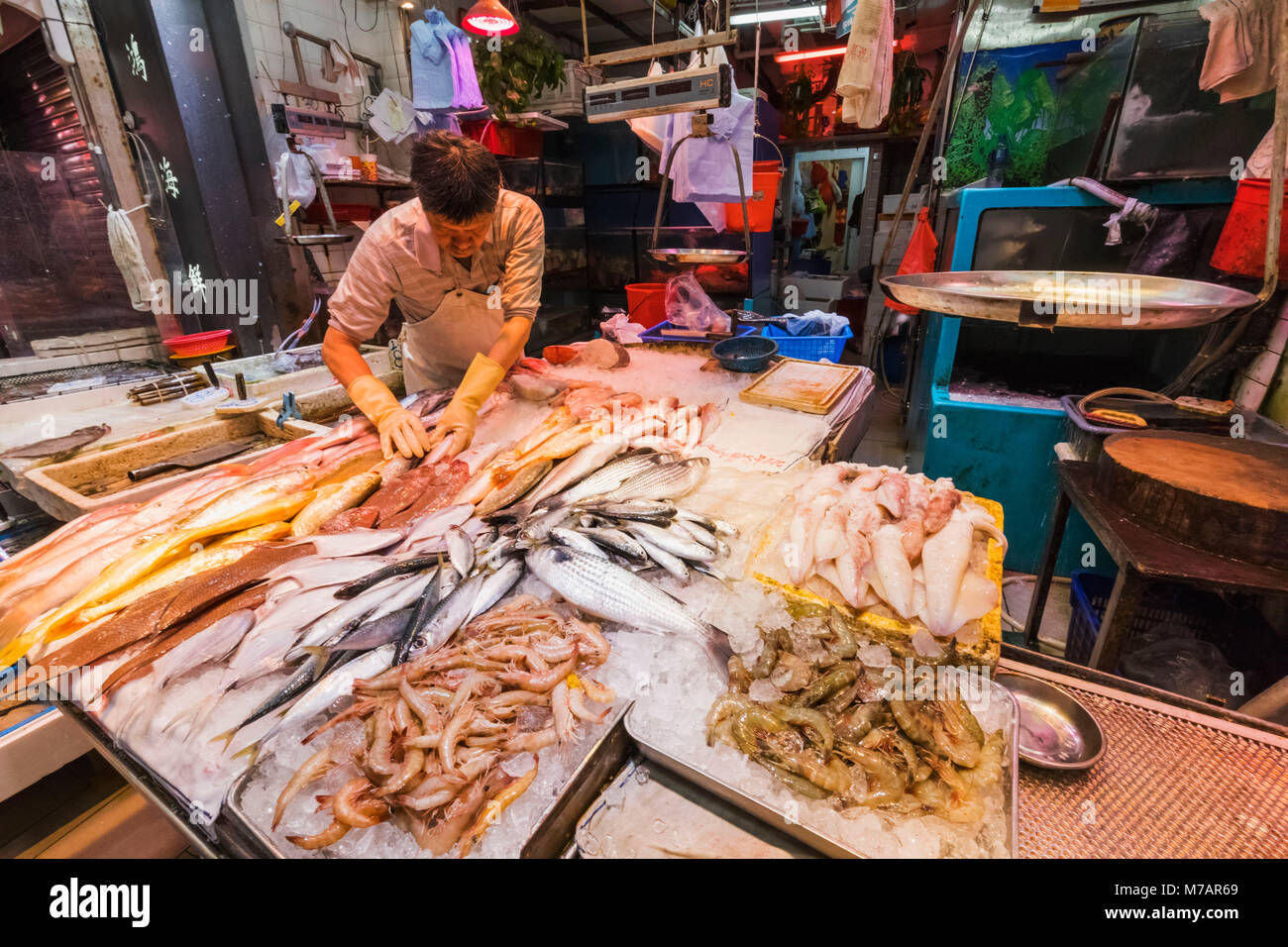 China, Hongkong, Street Market Fish Shop Anzeige Stockfoto