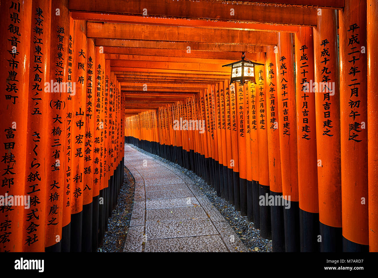 Die Tore in der Fushimi Inari-Schrein in Kyoto, Japan Stockfoto