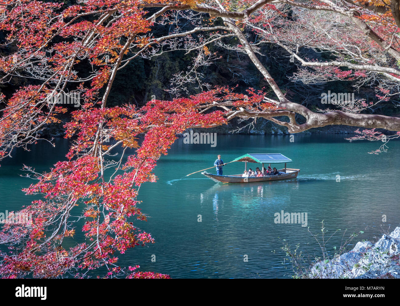 Japan, Kyoto City, Arashi Yama, Blätter im Herbst Stockfoto
