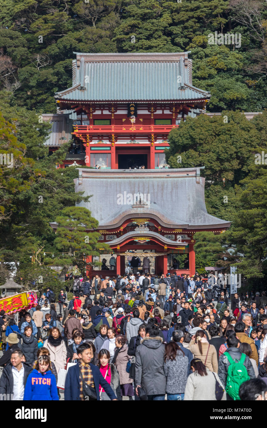 Japan Kamakura Stadt, Tsurugaoka Hachimangu Schrein Stockfoto