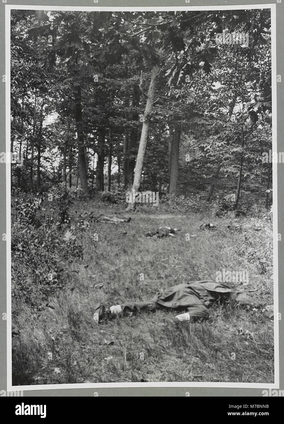 Foto von den Verunglückten der Konföderierten in Matthews Hill während der Schlacht am Bull Run, Teil des Amerikanischen Bürgerkriegs. Stockfoto