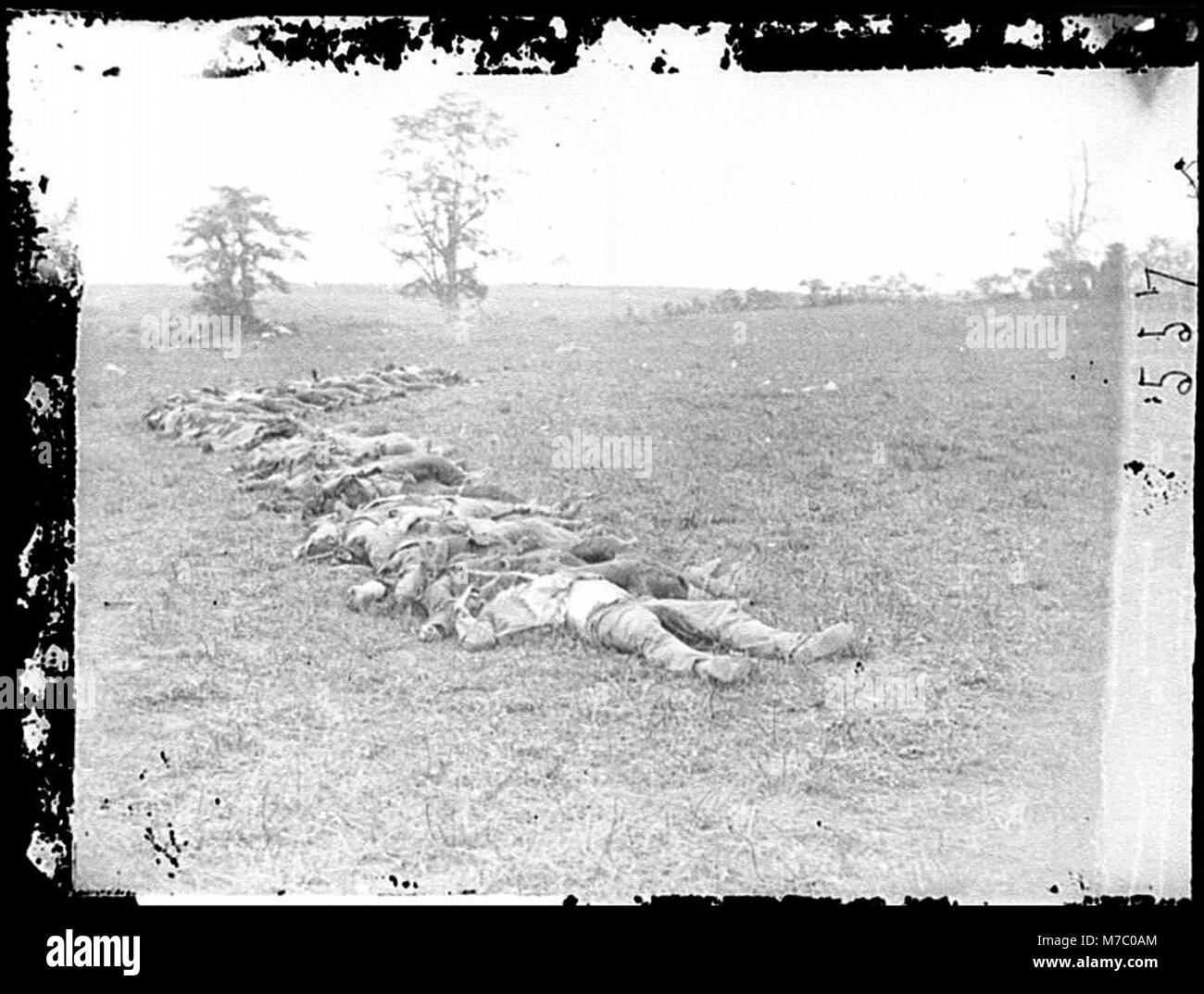 Dieses düstere Foto aus der Schlacht von Antietam in Maryland zeigt die Leichen der konföderierten Soldaten, die zur Beerdigung gesammelt werden, und spiegelt die tragischen Folgen des Bürgerkriegs wider. Stockfoto