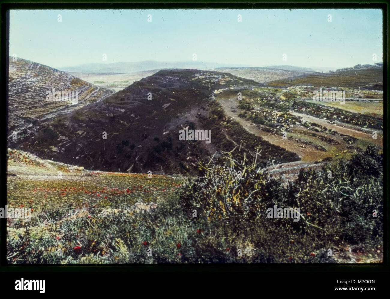 Gegen Mitternacht aus Jerusalem. Hügel von Tibna, Schleusegrund. Gen. 38-12-14, Josh. 15-57 22918 matpc LOC. Stockfoto