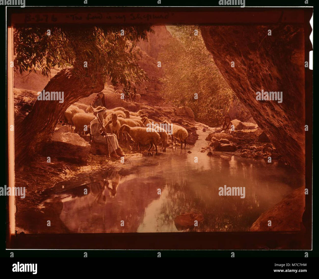 Ein Satz von 13 Folien, die Szenen aus dem Leben der Hirten darstellen und die Themen des Dreiundzwanzigsten Psalms illustrieren, wobei der Schwerpunkt auf der Vorstellung des Herrn als Hirten liegt. Stockfoto