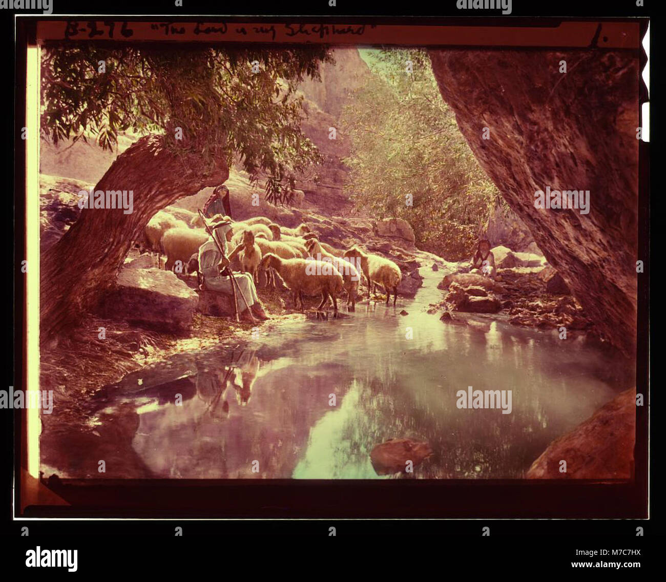 Eine Reihe von Folien, die Szenen aus dem Leben der Hirten darstellen und den dreiundzwanzigsten Psalm „der Herr ist mein Hirte“ durch visuelle Erzählungen veranschaulichen. Stockfoto