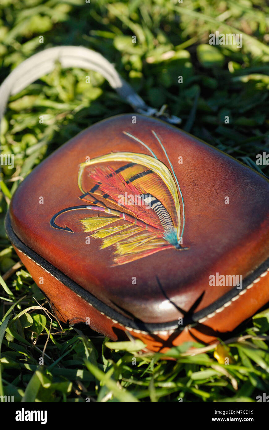 Hohe Betrachtungswinkel und einer Fliege, Stockfoto