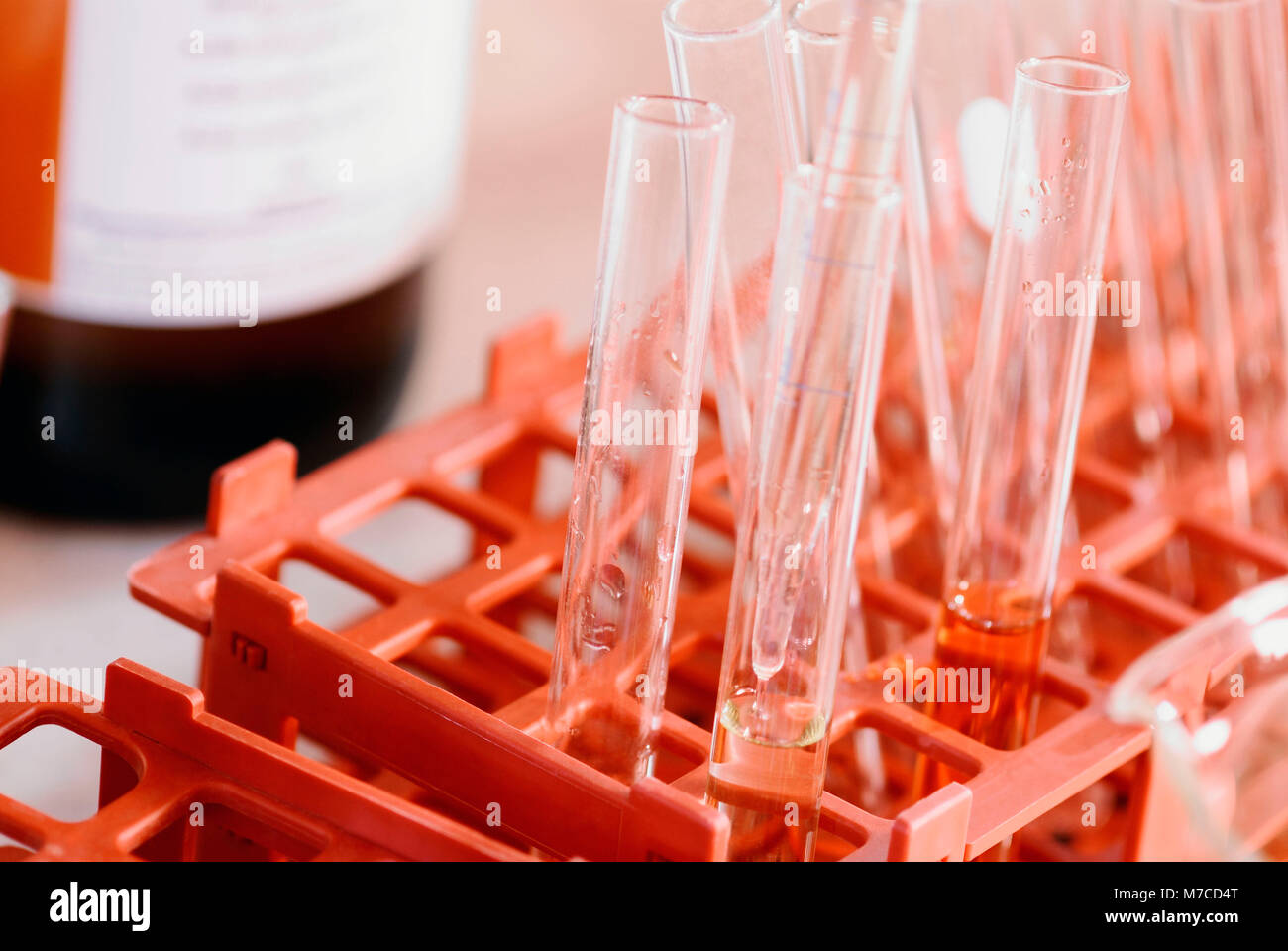 In der Nähe von Röhrchen in einem Reagenzglas Rack Stockfoto