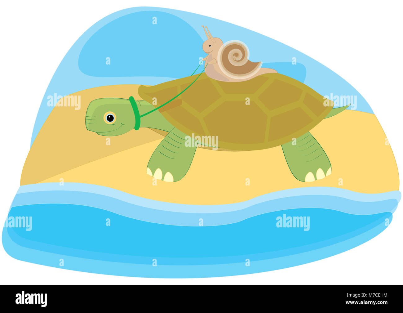 Schnecke, Reiten auf dem Rücken einer Schildkröte Stockfotografie Alamy