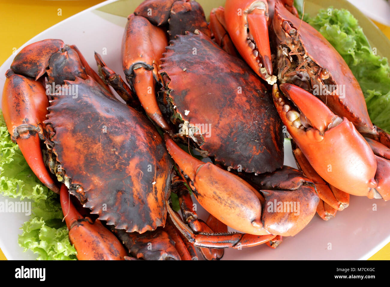 Hot gedämpfte Krabben Meeresfrüchte auf Esstisch Stockfoto