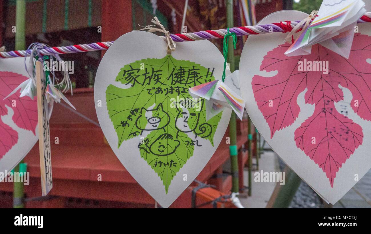 Wünsche und Gebete auf bunte Zettel geschrieben und gebunden durch die japanischen Studenten Anzeige an tsurugaoka Hachimangū Shinto Schrein zu Schrein. Stockfoto