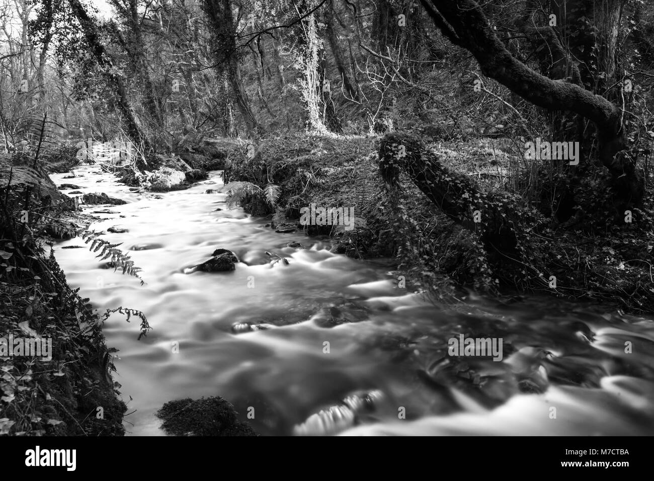 St nectan's Glen, Cornwall Stockfoto