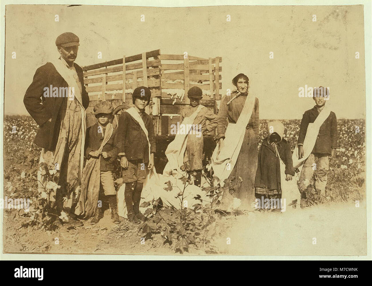 Die Kirkpatrick-Familie aus Lawton, Oklahoma, wurde 1939 in ihrer Baumwollpflückerei dargestellt. Die Familie, bestehend aus Eltern und fünf Kindern, arbeitete während der Großen Depression im ländlichen Amerika zusammen. Stockfoto