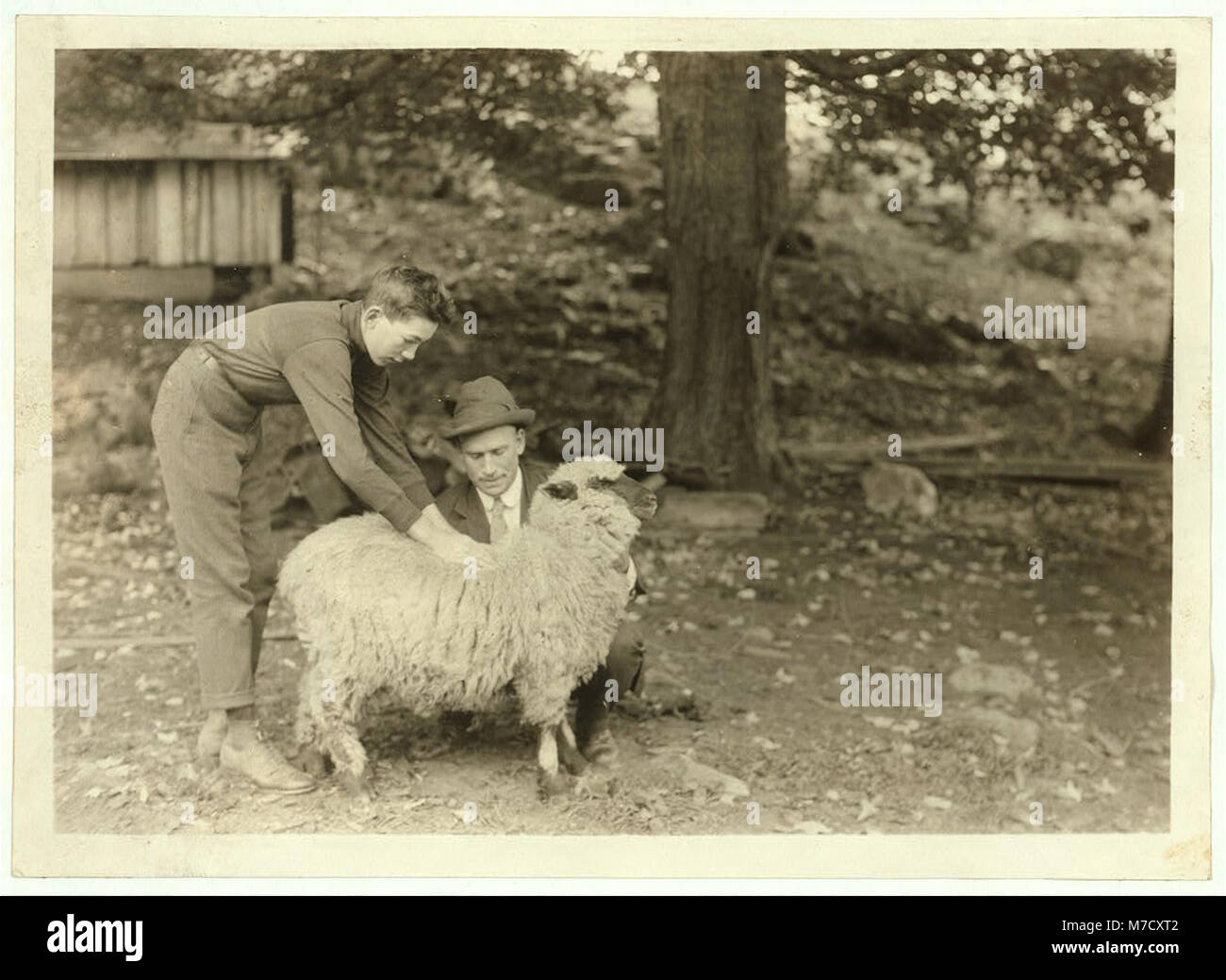 Forest Kellison, Mitglied des 4-H Clubs, ist auf dem Bild zu sehen, das das Vlies eines Schafes untersucht und landwirtschaftliche Ausbildung und landwirtschaftliche Praktiken unter der Leitung von Harold Willey, einem Agenten des Farm Bureau, präsentiert. Stockfoto