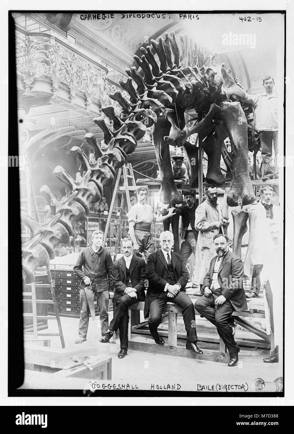 Ein historisches Bild der Carnegie Diplodocus in Paris mit Regisseur Goggeshall und Baile, die die Ausstellung überwachen, spiegelt das Interesse an paläontologischen Entdeckungen des frühen 20. Jahrhunderts wider. Stockfoto