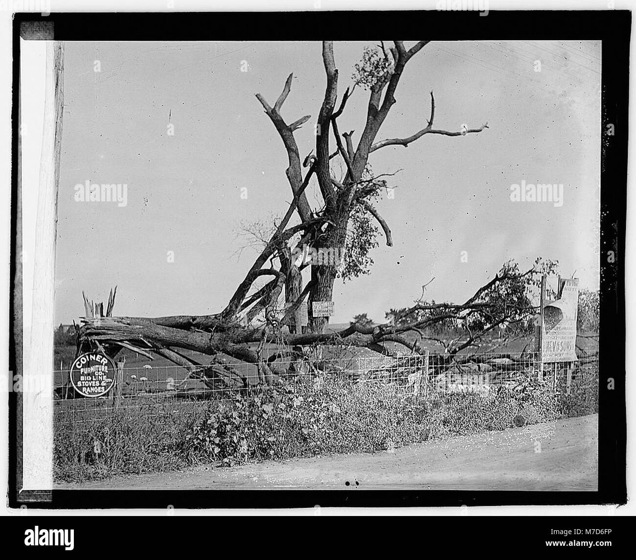 Ein Foto von der Herald Tour mit Staunton, Virginia. Das Bild zeigt die Architektur und Straßenszenen der Stadt und spiegelt die amerikanische Atmosphäre des 19. Jahrhunderts wider. Stockfoto