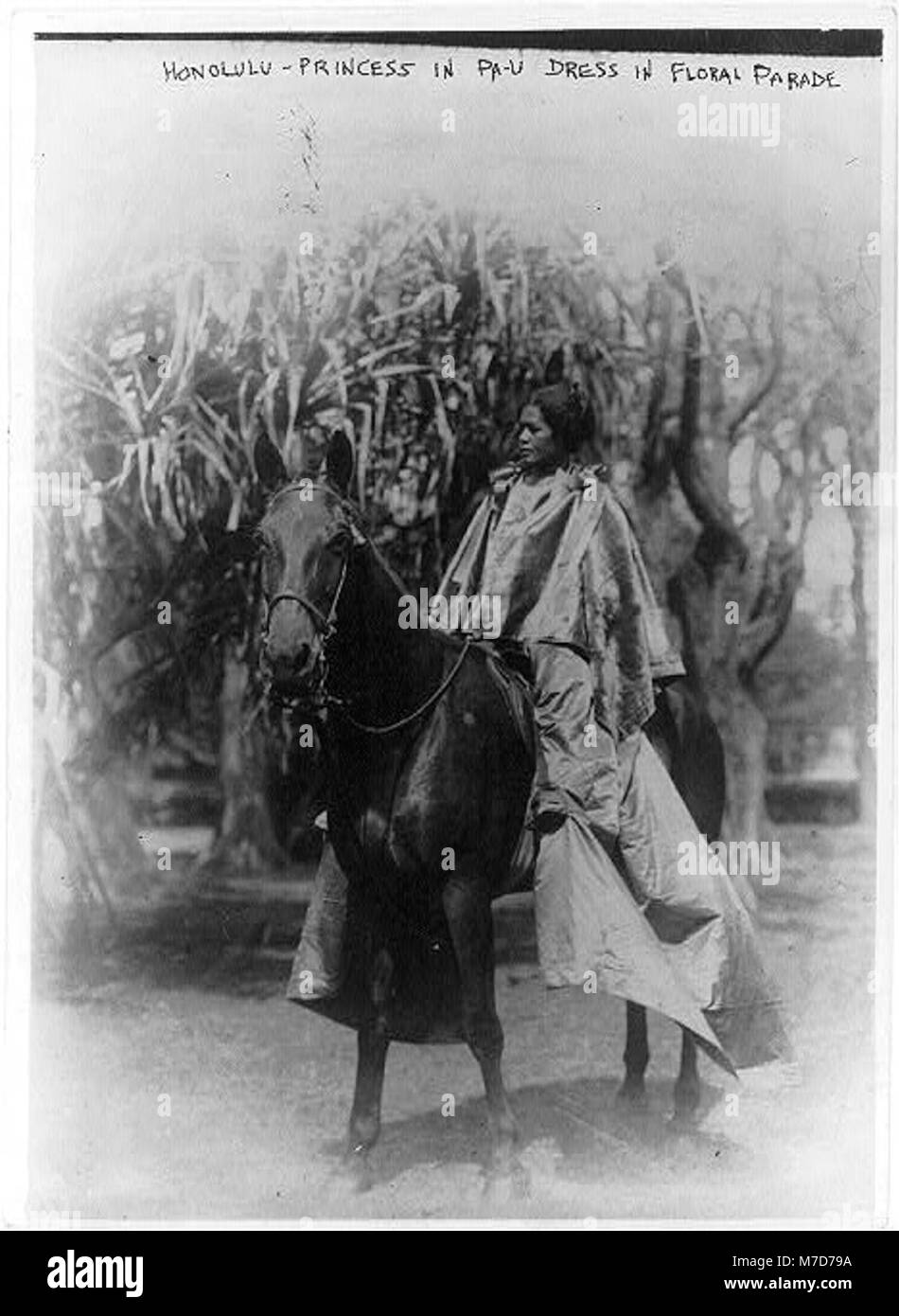 Ein Foto einer Prinzessin in einem traditionellen PA-u-Kleid während der Blumenparade in Honolulu, das die hawaiianische Kultur und die Bedeutung zeremonieller Kleidung bei Paraden repräsentiert. Stockfoto