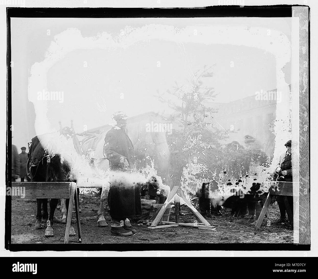 Dieses Bild aus dem Jahr 1919 zeigt eine einzigartige Darstellung eines Pferdebaums, der Urlaubstradition mit kreativer Dekoration verbindet. Das Bild spiegelt die Feiertagsbräuche und das künstlerische Flair des frühen 20. Jahrhunderts wider. Stockfoto